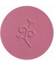 Benecos Fard à Joues compact Mallow Rose 5.5g joli teint Espritphyto