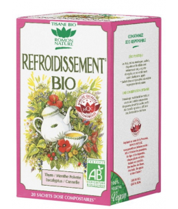 Tisane Refroidissement bio 20 sachets Romon Nature thym cannelle Espritphyto immunité