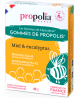 Gommes de Propolis Eucalyptus - Sachet de 45g - Propolia haleine fraiche hygiène bucco dentaire Esprit phyto