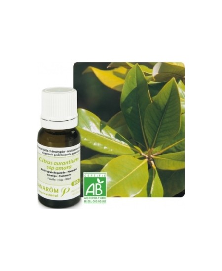 Pranarôm - Oranger amer Petit Grain Bigarade Bio Flacon compte gouttes - 10 ml Pranarôm - Oranger amer Petit Grain Bigarade Bio Flacon compte gouttes - 10 ml