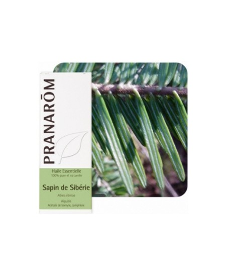 Pranarôm - Sapin de Sibérie Flacon compte gouttes - 10 ml Pranarôm - Sapin de Sibérie Flacon compte gouttes - 10 ml