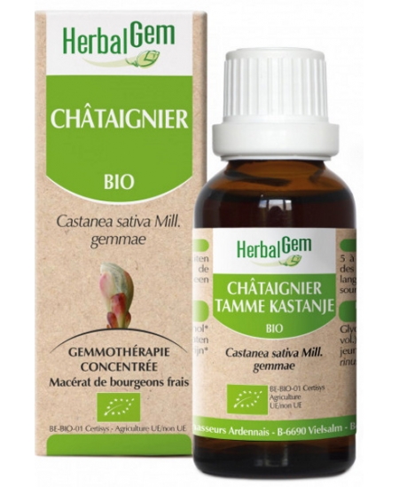 Herbalgem Gemmobase - Châtaignier bio Flacon compte gouttes - 50 ml Herbalgem Gemmobase - Châtaignier bio Flacon compte gouttes - 50 ml