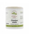 Chardon Marie Fruit Bio 60 gélules Herboristerie de Paris Cardus marianus ou Silybum marianum Espritphyto