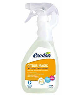 Ecodoo Nettoyant et désinfectant multi usages Citrus magic 500 ml maison nette Espritphyto
