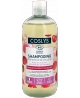 Coslys - Shampooing Protecteur de couleur cheveux colorés 500ml Esprit phyto