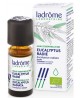 Eucalyptus radié Bio 10 ml Ladrome eucalyptus radiata Espritphyto