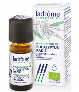 Eucalyptus radié Bio 10 ml Ladrome eucalyptus radiata Espritphyto