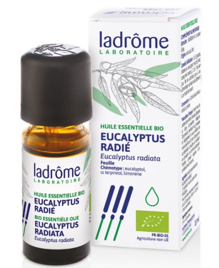 Eucalyptus radié Bio 10 ml Ladrome eucalyptus radiata Espritphyto Eucalyptus radié Bio 10 ml Ladrome eucalyptus radiata Espritphyto