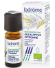 Huile essentielle Eucalyptus Citronné Bio 10 ml Ladrome Eucalyptus citriodora Espritphyto