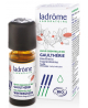 Ladrome - Gaulthérie Wintergreen - 10 ml