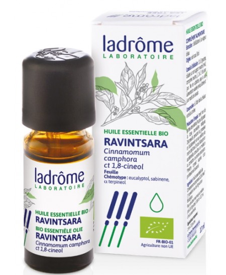 Huile essentielle de Ravintsara Bio 10 ml Ladrome Spécial refroidissements Espritphyto Huile essentielle de Ravintsara Bio 10 ml Ladrome Spécial refroidissements Espritphyto