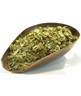 Tisane Alchémille vulgaire  BIO plante 100gr Herboristerie De Paris pour le cycle menstruel ménopause