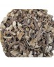 Tisane Angélique racine bio 100gr Herboristerie De Paris Espritphyto