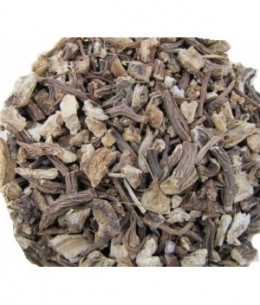 Tisane Angélique racine bio 100gr Herboristerie De Paris Espritphyto