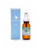Bio Colloidal Laboratoire Argent Colloïdal 10 PPM Spray 60ml