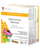 Vecteur Santé - Royale Activ 20 ampoules de 10ml défenses vitalité résistance Espritphyto