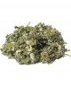 Herboristerie de Paris - Tisane Framboisier Feuille Coupée bio - 100gr Espritphyto