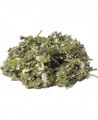 Herboristerie de Paris - Tisane Framboisier Feuille Coupée bio - 100gr Espritphyto