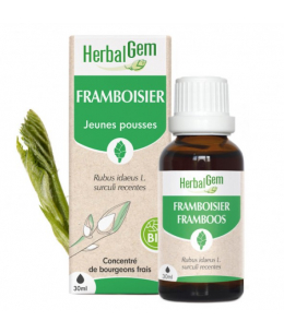 Framboisier bio Flacon compte gouttes - 50 ml - Herbalgem Gemmobase équilibre féminin Espritphyto