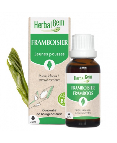 Framboisier bio Flacon compte gouttes - 50 ml - Herbalgem Gemmobase équilibre féminin Espritphyto