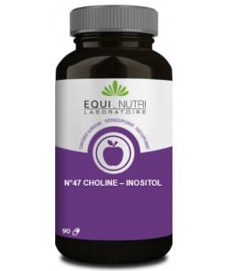 Choline Inositol - 90 gélules - Equi - Nutri lipides foie mémoire espritphyto