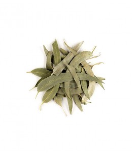 Herboristerie de Paris - Eucalyptus feuilles longues entières bio - 100g eucalyptus globulus tisane Espritphyto