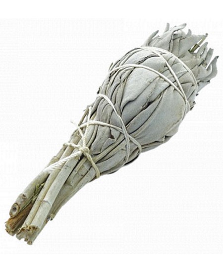Herboristerie de Paris - Sauge blanche à brûler torche 15 gr espritphyto Herboristerie de Paris - Sauge blanche à brûler torche 15 gr espritphyto