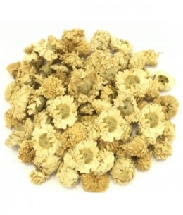 Camomille Romaine capitule floral trié entier - 50gr - Herboristerie de Paris infusion du soir Espritphyto