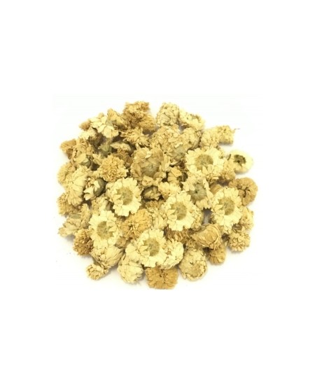 Camomille Romaine capitule floral trié entier - 50gr - Herboristerie de Paris infusion du soir Espritphyto