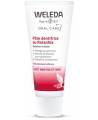 Pâte Dentifrice Ratanhia - 75 ml - Weleda hygiène bucco dentaire bio Espritphyto