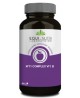 Complexe  vitamine B  90 gélules végétales-Equi nutri