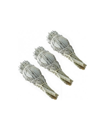 Sauge blanche de Californie lot de 3 à brûler nouvelles senteurs Espritphyto