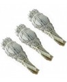 Sauge blanche de Californie lot de 3 à brûler nouvelles senteurs Espritphyto