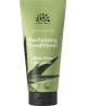 Urtekram - Après shampoing Aloé Véra - 180 ml