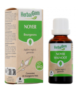 Noyer bio Flacon compte gouttes - 50 ml - Herbalgem digestion immunité Espritphyto