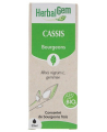 Cassis bio Flacon compte gouttes - 30 ml - Herbalgem articulations confort urinaire Espritphyto