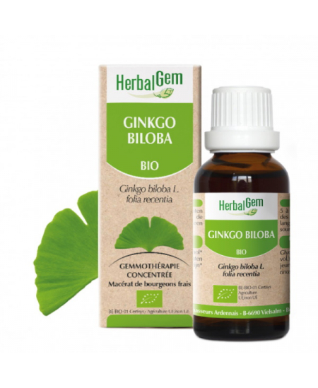 Ginkgo Biloba Flacon compte gouttes - 50 ml - Herbalgem Gemmobase concentration supérieure Espritphyto Ginkgo Biloba Flacon compte gouttes - 50 ml - Herbalgem Gemmobase concentration supérieure Espritphyto