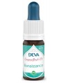 Deva - Composé Floral Bio - Renaissance N°19 - 10 ml