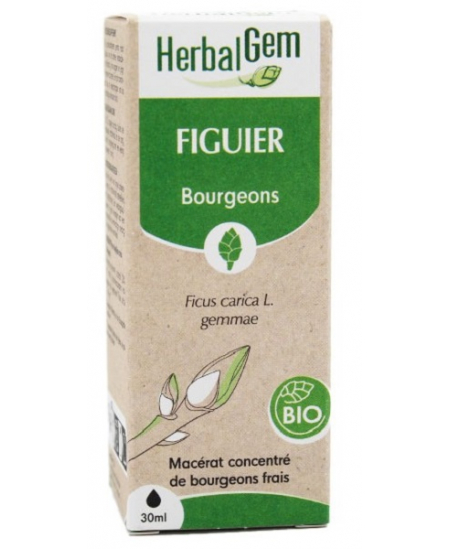 Figuier bio Flacon compte gouttes - 50 ml - Herbalgem anti stress relaxation Espritphyto Figuier bio Flacon compte gouttes - 50 ml - Herbalgem anti stress relaxation Espritphyto
