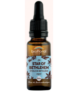 Elixir Star of Bethléem n° 29 Etoile de Bethléem - 20 ml - Biofloral fleurs de bach émotions Espritphyto