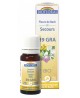 Complexe de secours sos en granules sans alcool - 10 gr - Biofloral calme et relaxation Espritphyto