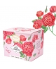 Provence d'Antan Tisane Be Cube Jour D'amour bio 20 sachets 40g recharge carton réglisse gingembre rose Espritphyto