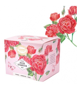 Provence d'Antan Tisane Be Cube Jour D'amour bio 20 sachets 40g recharge carton réglisse gingembre rose Espritphyto