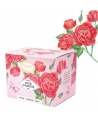 Provence d'Antan Tisane Be Cube Jour D'amour bio 20 sachets 40g recharge carton réglisse gingembre rose Espritphyto