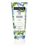 Coslys Dentifrice fraicheur Menthol 75ml menthe poivrée carbonate de calcium aloe vera Espritphyto