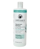 Shampoing Extra Doux aux Plantes modèle économique de 500ml - Odylique tous types de cheveux Espritphyto