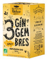 Romon Nature - Infusion plaisir 3 Gingembres bio 16 sachets Gingembre Galanga Curcuma réglisse Espritphyto
