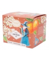 Provence d'Antan - Tisane des Druides 20 sachets Recharge carton souci rose sauge Espritphyto
