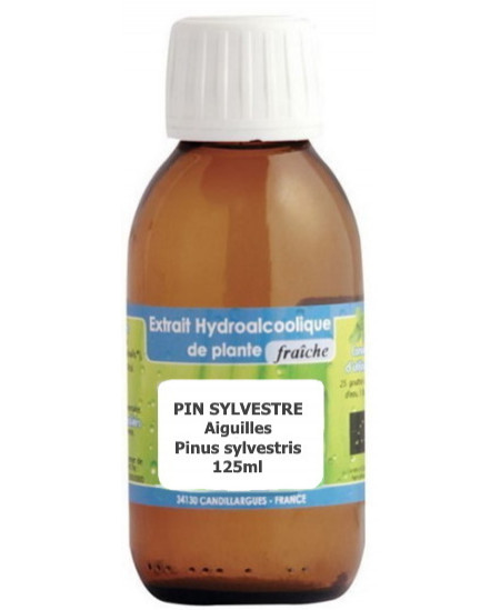 Phytofrance Extrait hydro alcoolique Pin sylvestre aiguilles 125ml confort respiratoire Espritphyto quercétine Phytofrance Extrait hydro alcoolique Pin sylvestre aiguilles 125ml confort respiratoire Espritphyto quercétine