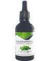 Catalyons Chlorophylle Magnésienne concentrée liquide 100ml magnesium anti fatigue Espritphyto